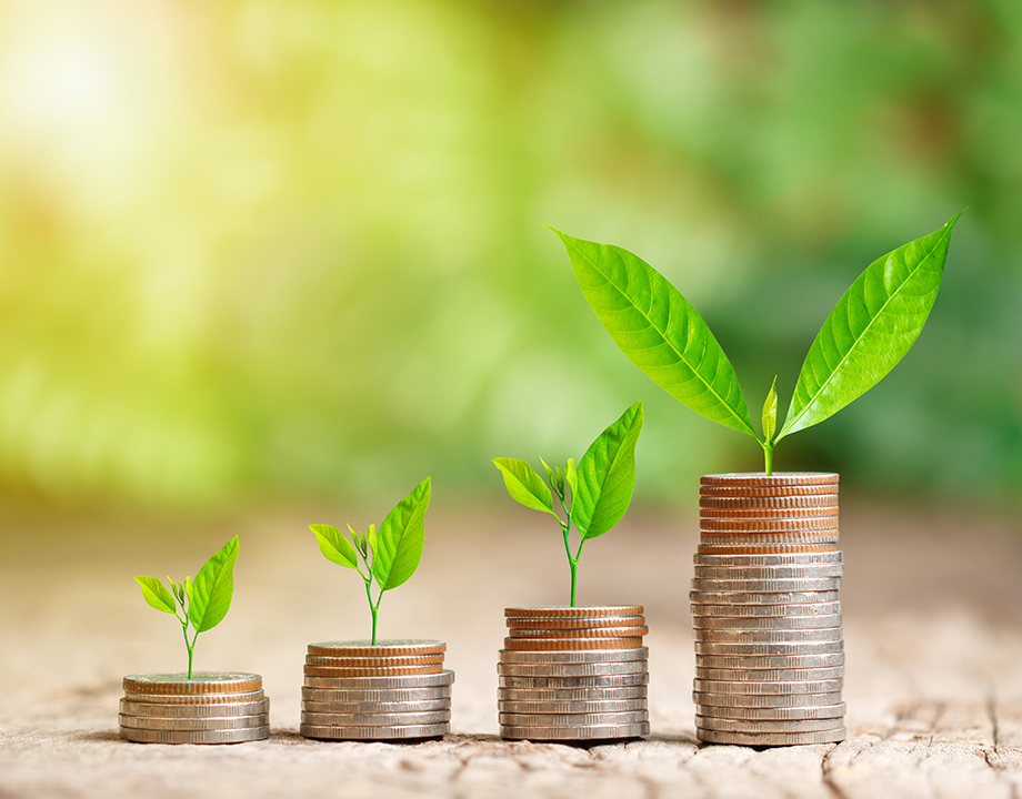 קופת גמל להשקעה